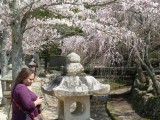 66.Miyajima