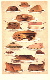 How To Serve Meat
